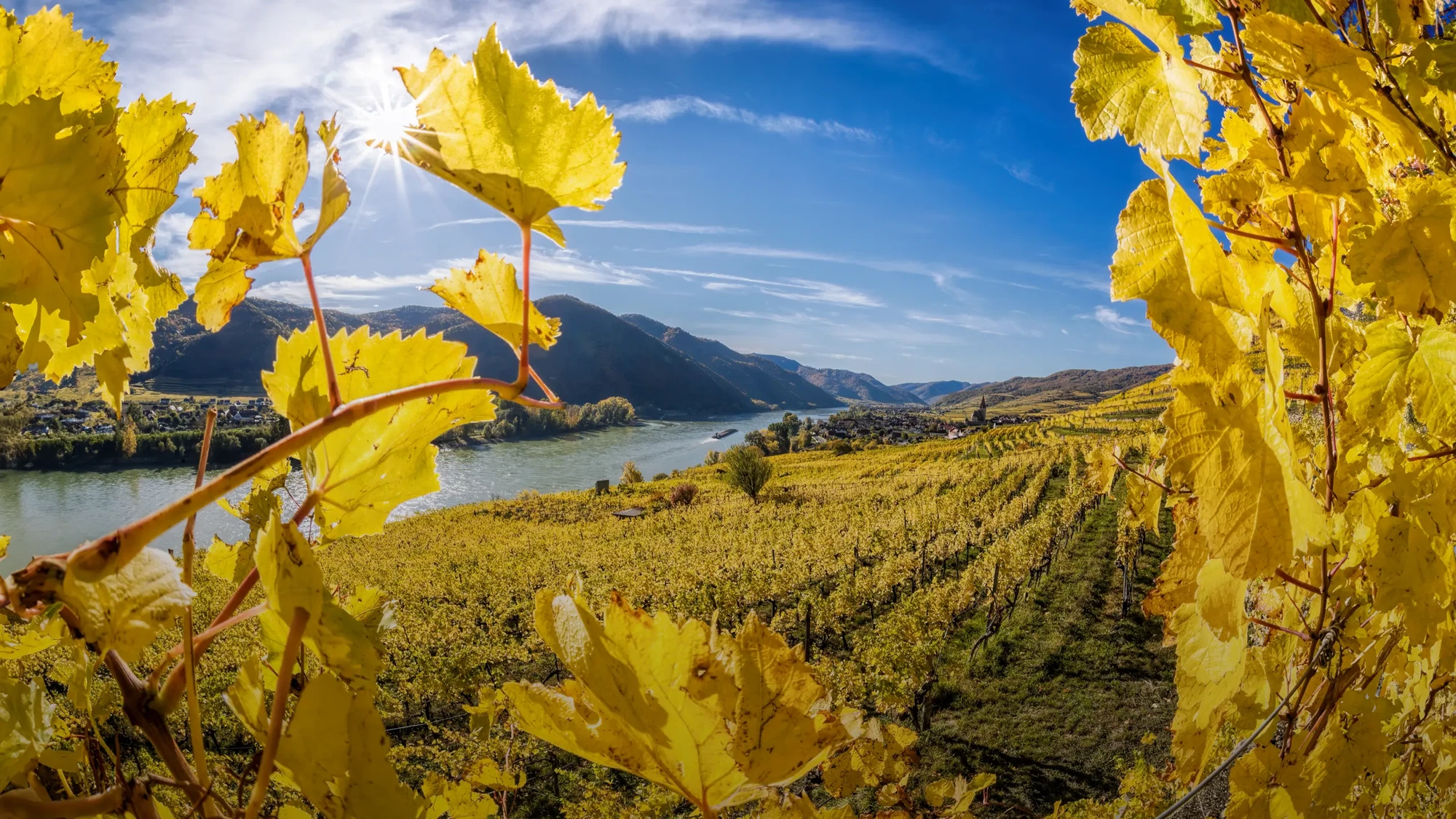 Melodies of the Danube